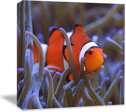 Coral and Fish Canvas: Brusheslife's Colorful Marine Life Wall Art