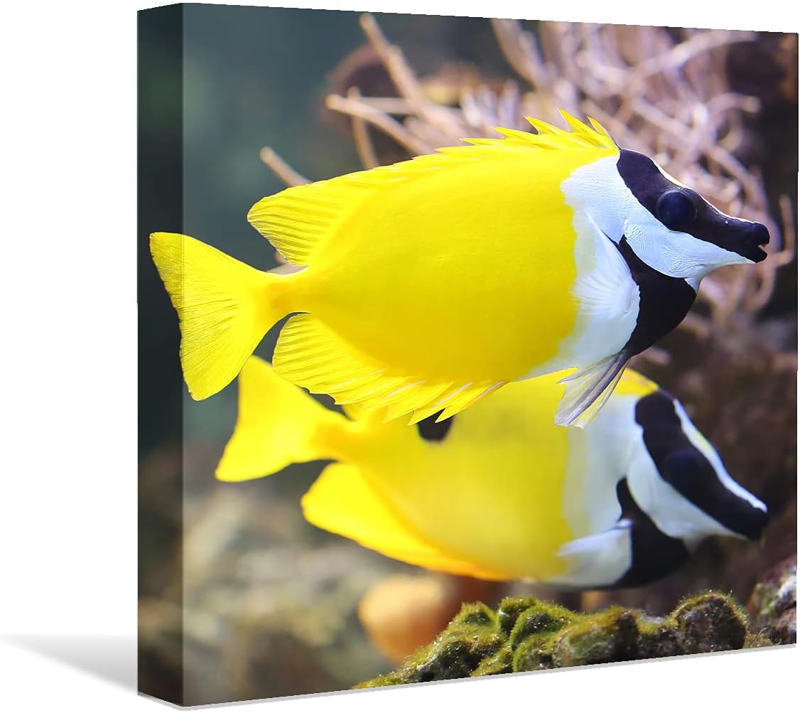 Coral and Fish Canvas: Brusheslife's Colorful Marine Life Wall Art