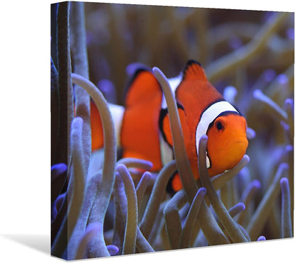 Coral and Fish Canvas: Brusheslife's Colorful Marine Life Wall Art