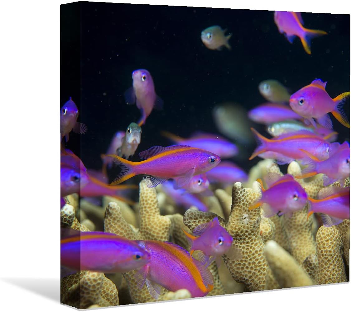 Coral and Fish Canvas: Brusheslife's Colorful Marine Life Wall Art