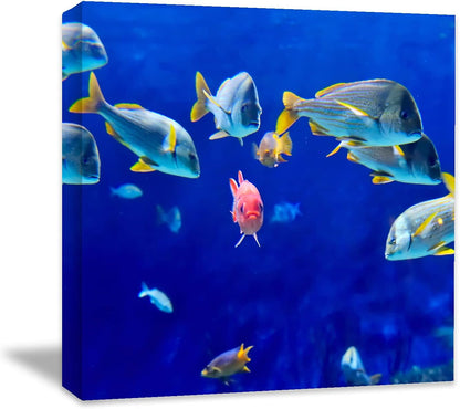 Coral and Fish Canvas: Brusheslife's Colorful Marine Life Wall Art