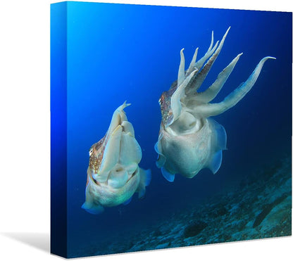 Coral and Fish Canvas: Brusheslife's Colorful Marine Life Wall Art