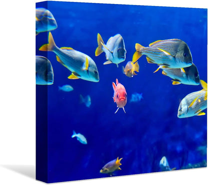 Coral and Fish Canvas: Brusheslife's Colorful Marine Life Wall Art