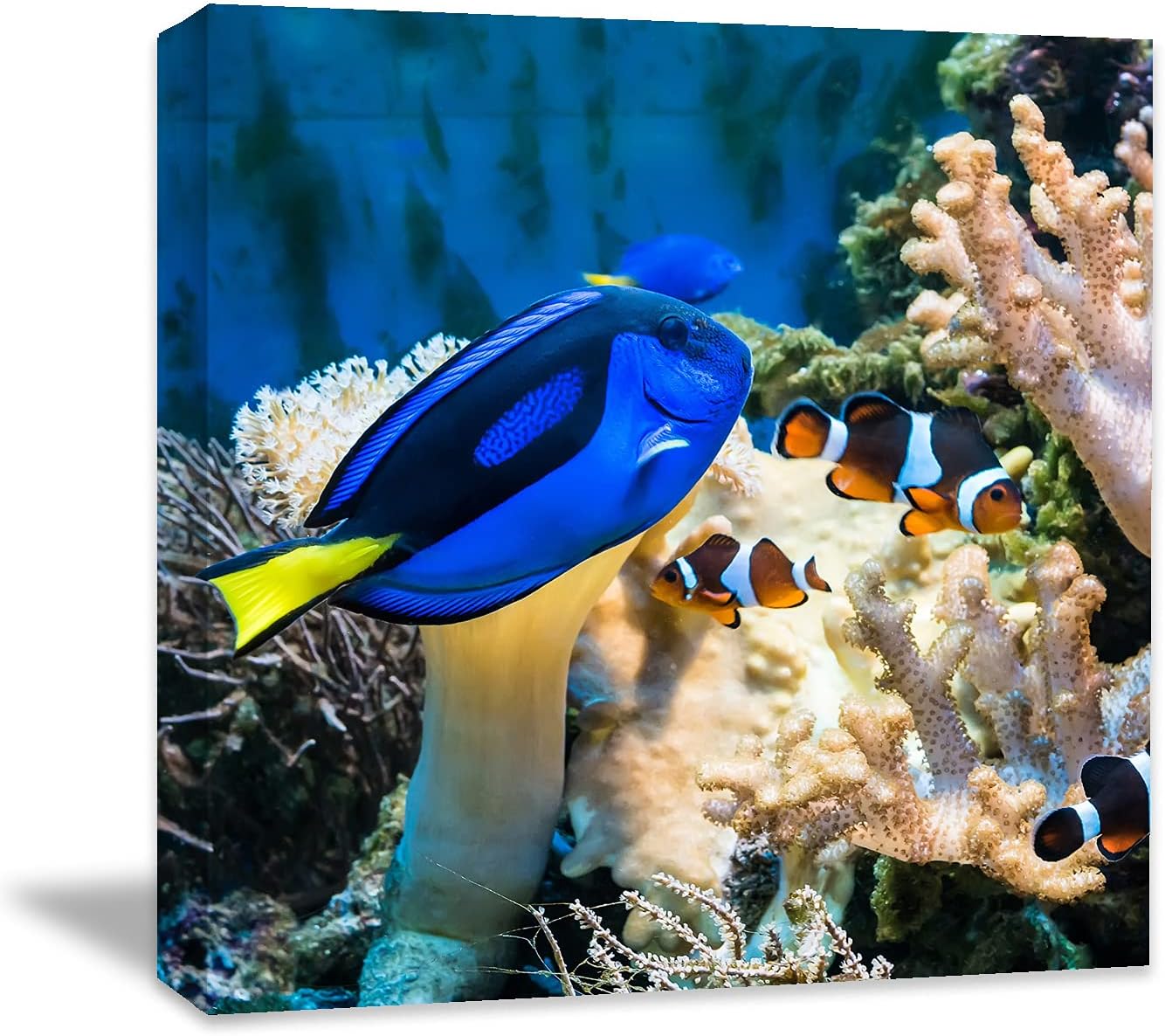 Coral and Fish Canvas: Brusheslife's Colorful Marine Life Wall Art