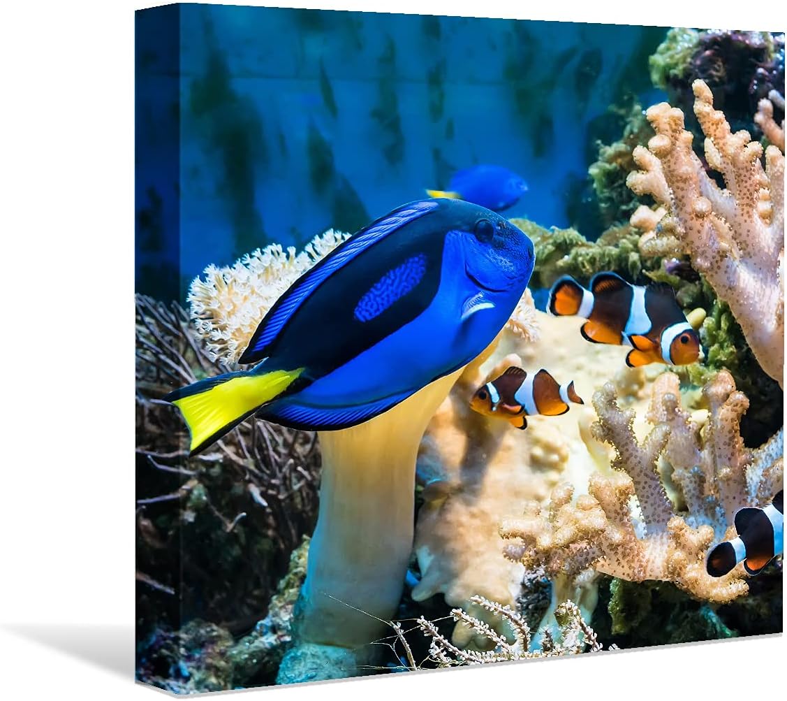 Coral and Fish Canvas: Brusheslife's Colorful Marine Life Wall Art