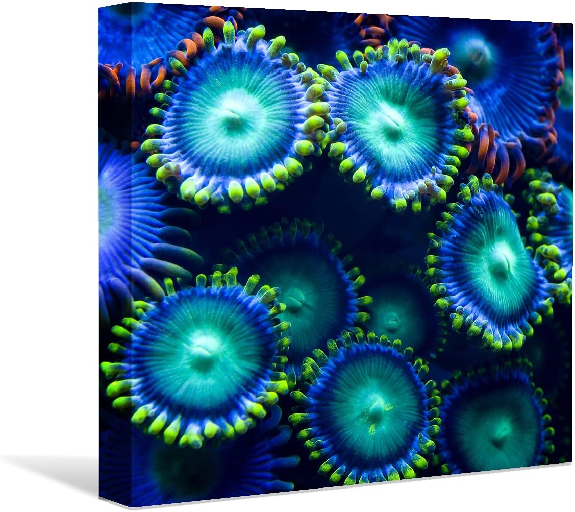 Coral and Fish Canvas: Brusheslife's Colorful Marine Life Wall Art