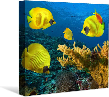 Coral and Fish Canvas: Brusheslife's Colorful Marine Life Wall Art