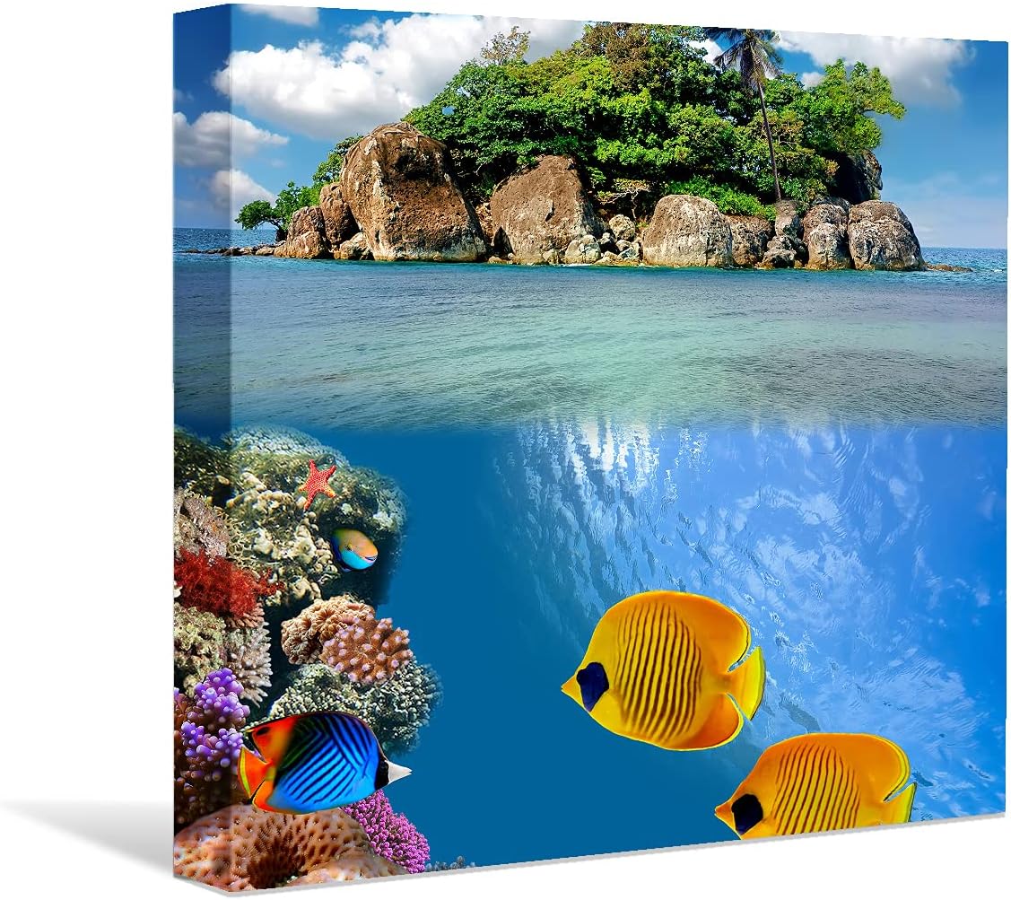 Coral and Fish Canvas: Brusheslife's Colorful Marine Life Wall Art