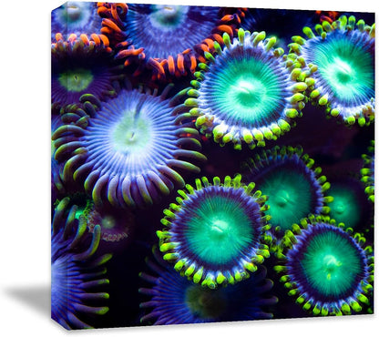 Coral and Fish Canvas: Brusheslife's Colorful Marine Life Wall Art