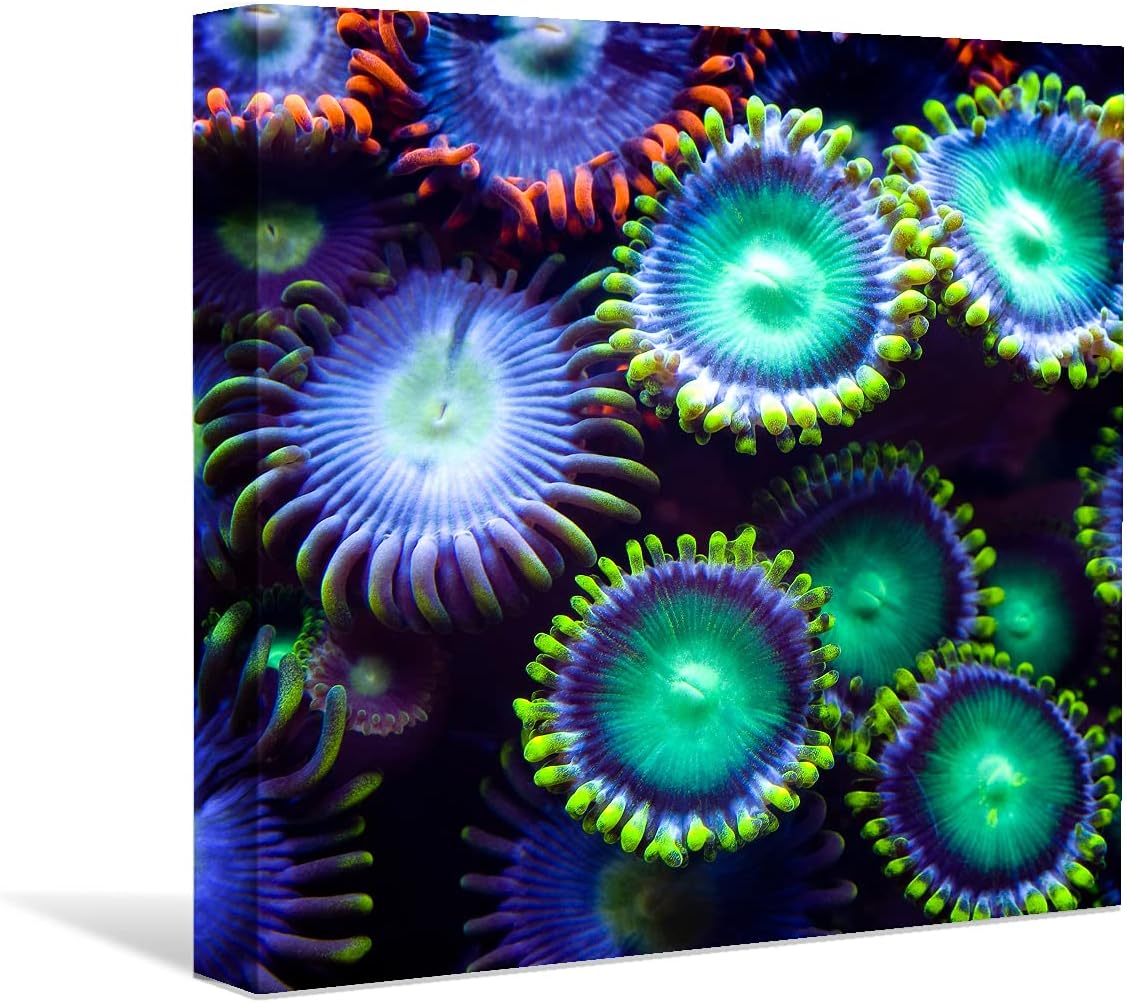 Coral and Fish Canvas: Brusheslife's Colorful Marine Life Wall Art