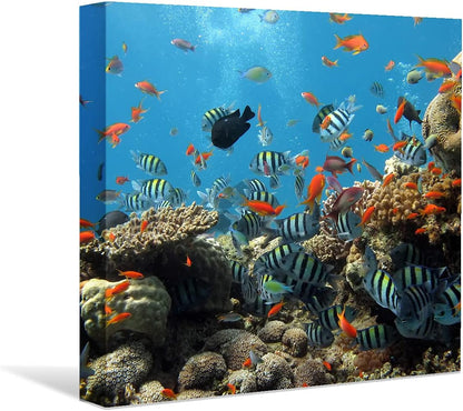 Coral and Fish Canvas: Brusheslife's Colorful Marine Life Wall Art