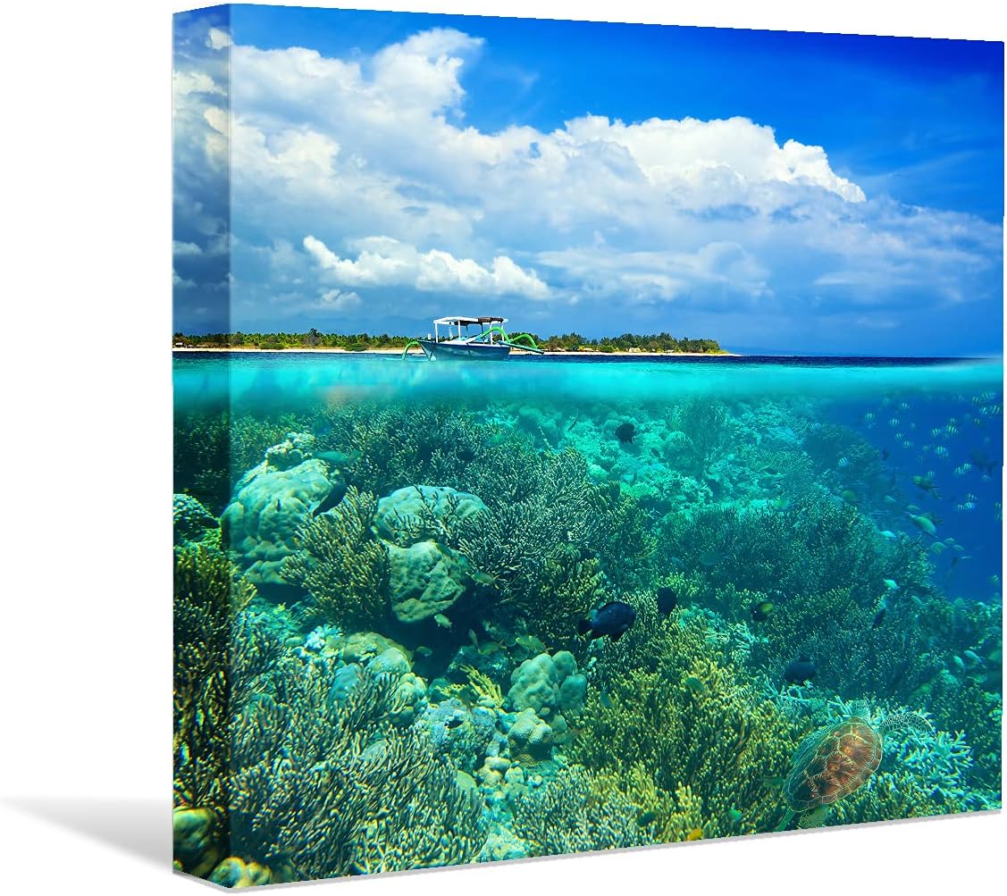 Coral and Fish Canvas: Brusheslife's Colorful Marine Life Wall Art