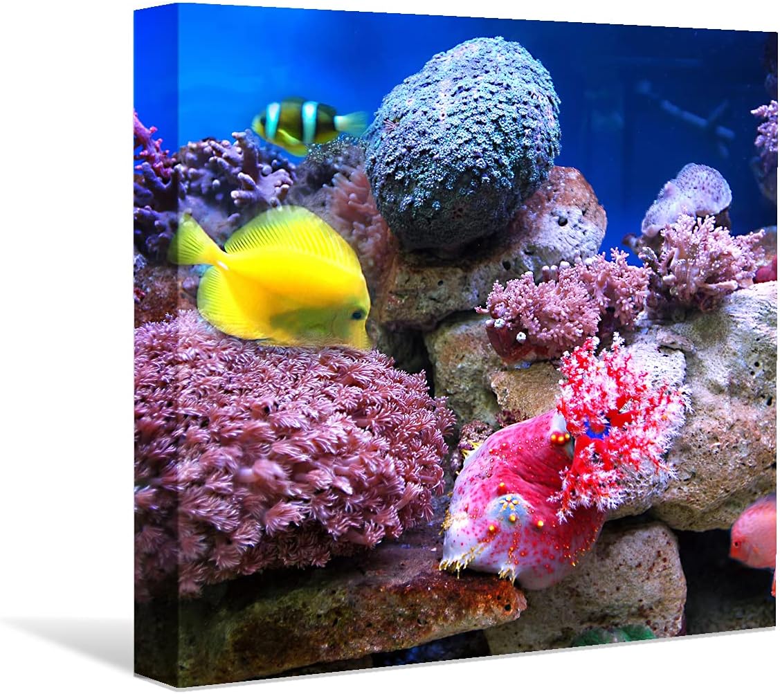 Coral and Fish Canvas: Brusheslife's Colorful Marine Life Wall Art