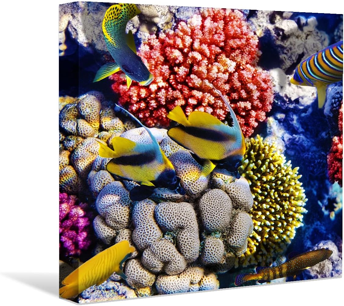 Coral and Fish Canvas: Brusheslife's Colorful Marine Life Wall Art