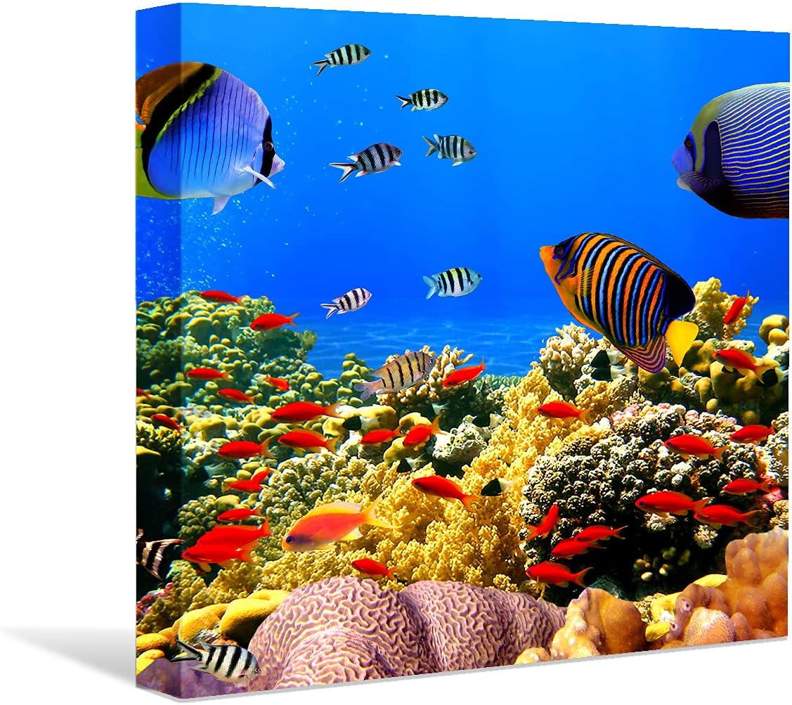 Coral and Fish Canvas: Brusheslife's Colorful Marine Life Wall Art