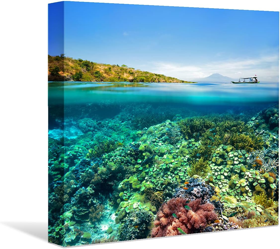 Coral and Fish Canvas: Brusheslife's Colorful Marine Life Wall Art