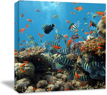 Coral and Fish Canvas: Brusheslife's Colorful Marine Life Wall Art