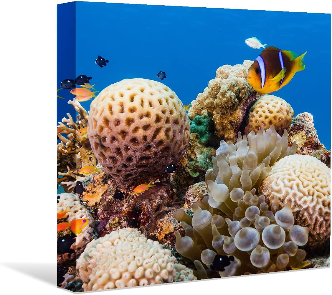 Coral and Fish Canvas: Brusheslife's Colorful Marine Life Wall Art