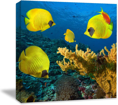 Coral and Fish Canvas: Brusheslife's Colorful Marine Life Wall Art