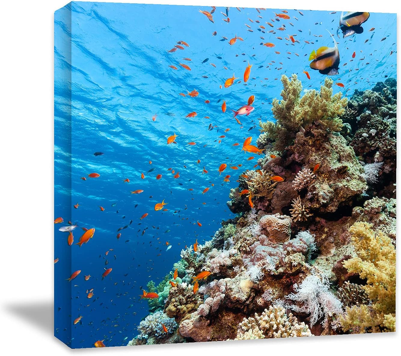 Coral and Fish Canvas: Brusheslife's Colorful Marine Life Wall Art