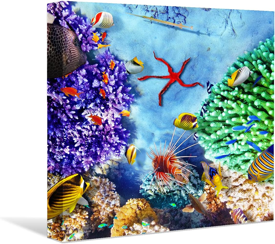 Coral and Fish Canvas: Brusheslife's Colorful Marine Life Wall Art