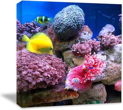 Coral and Fish Canvas: Brusheslife's Colorful Marine Life Wall Art