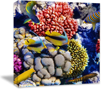 Coral and Fish Canvas: Brusheslife's Colorful Marine Life Wall Art