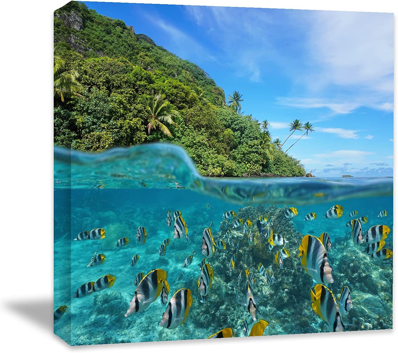 Coral and Fish Canvas: Brusheslife's Colorful Marine Life Wall Art