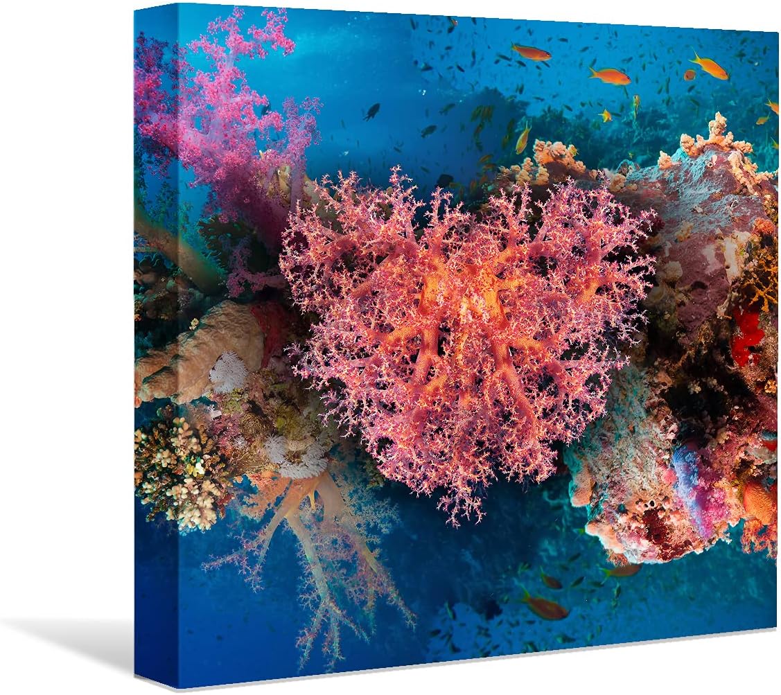 Coral and Fish Canvas: Brusheslife's Colorful Marine Life Wall Art