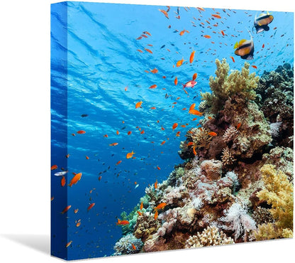 Coral and Fish Canvas: Brusheslife's Colorful Marine Life Wall Art