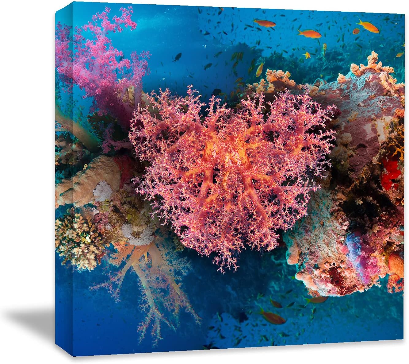 Coral and Fish Canvas: Brusheslife's Colorful Marine Life Wall Art