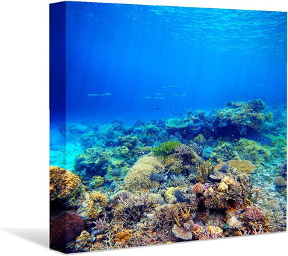 Coral and Fish Canvas: Brusheslife's Colorful Marine Life Wall Art