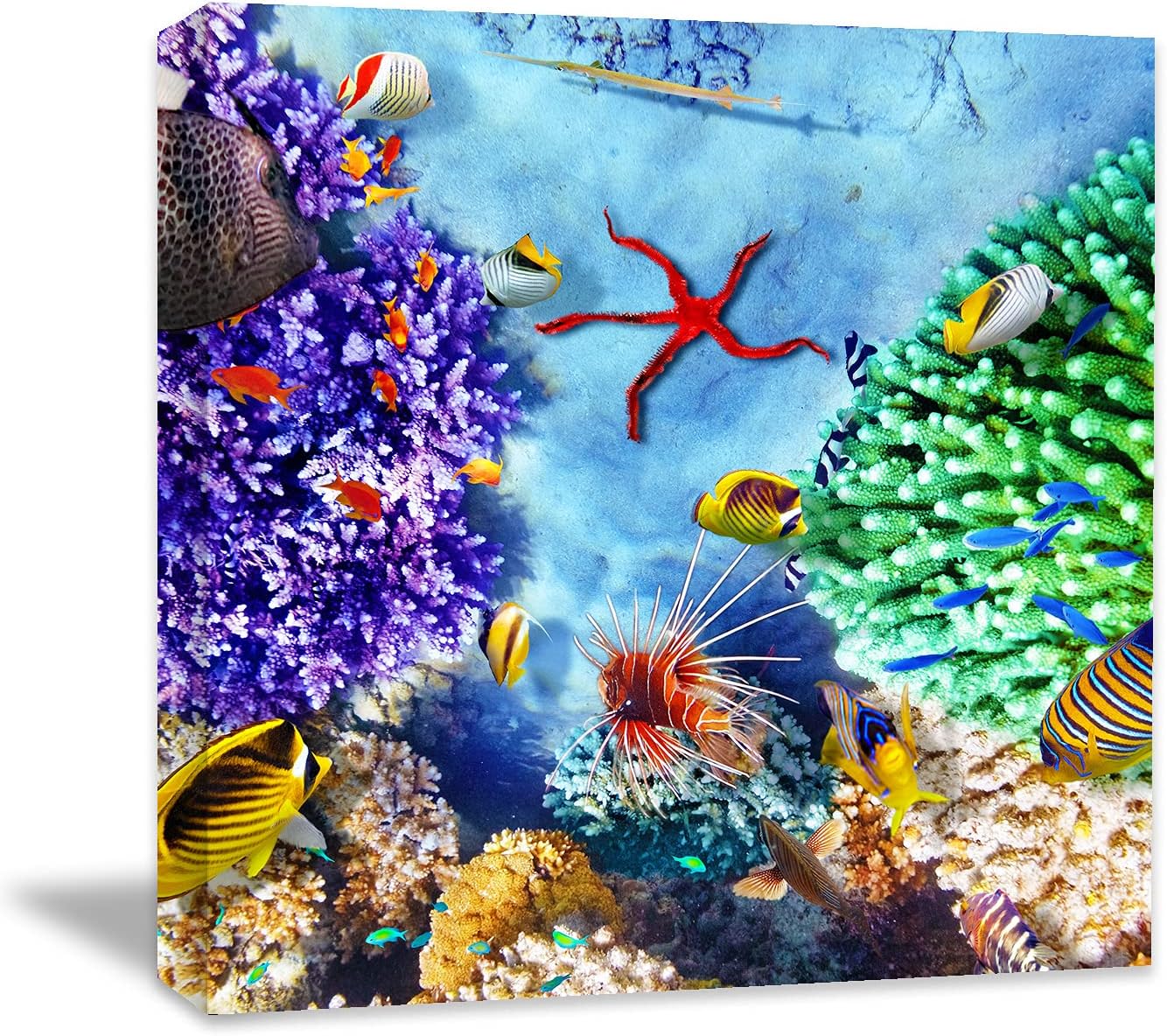 Coral and Fish Canvas: Brusheslife's Colorful Marine Life Wall Art