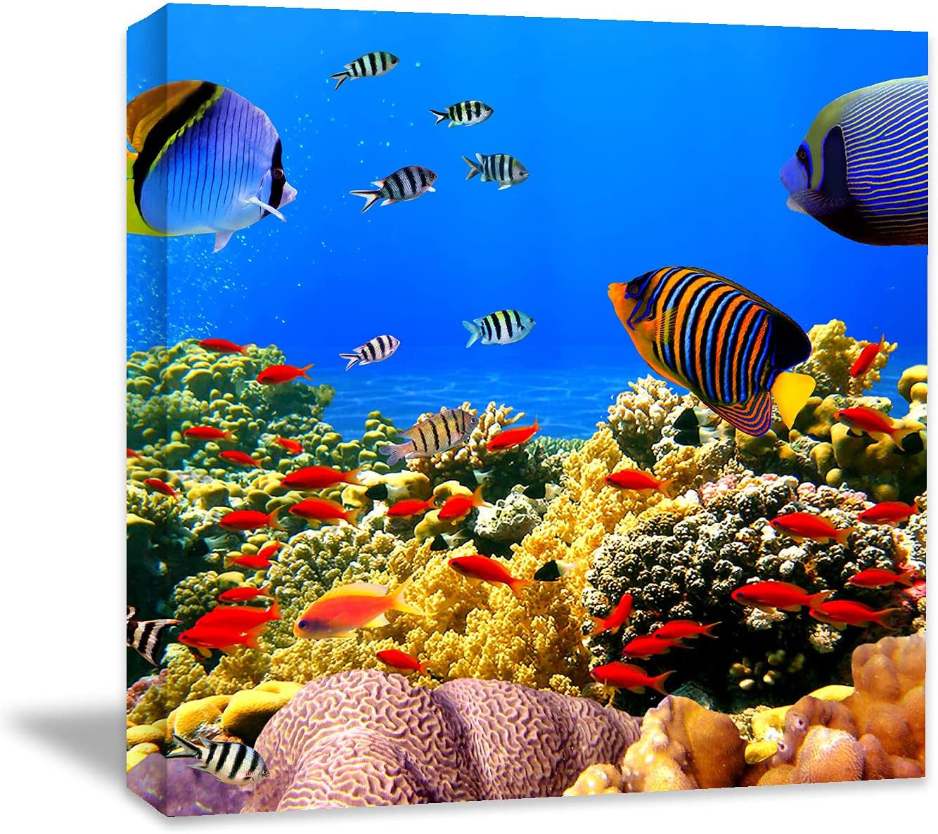 Coral and Fish Canvas: Brusheslife's Colorful Marine Life Wall Art