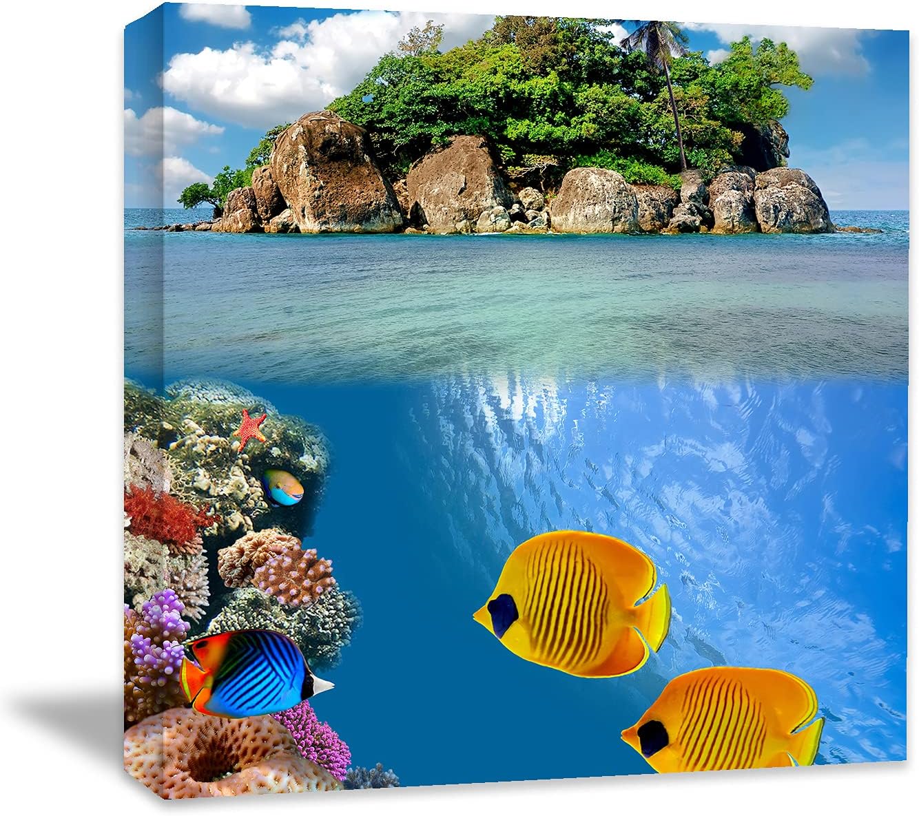 Coral and Fish Canvas: Brusheslife's Colorful Marine Life Wall Art