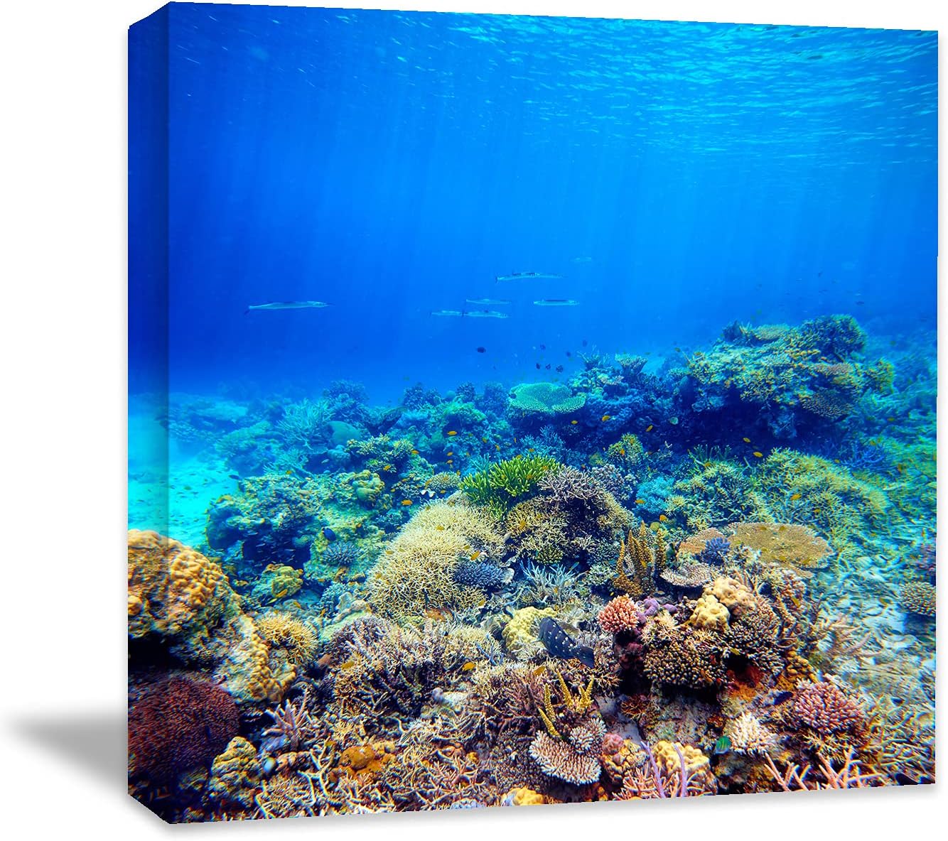 Coral and Fish Canvas: Brusheslife's Colorful Marine Life Wall Art